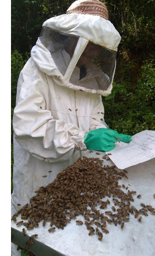 mulher fazendo anotações próximo a criação de abelhas