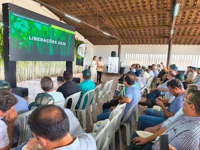 WhatsApp Image 2026-04-10 at 08.00.32