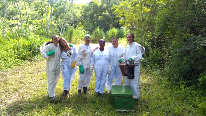 mulheres apicultoras em trajes de cultivo de abelhas