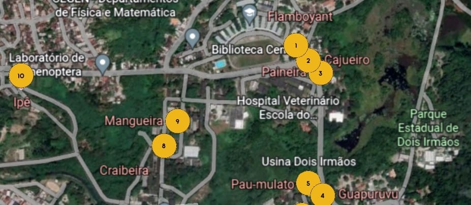 mapa com as árvores do campus 