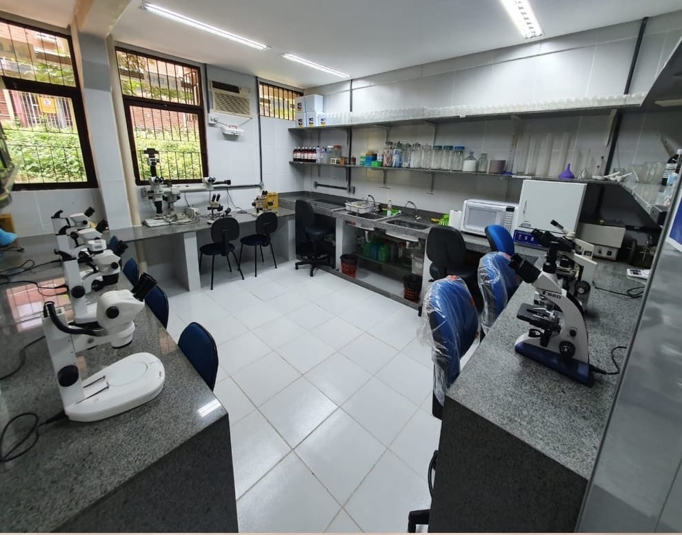 sala de coleções do laboratório reformada