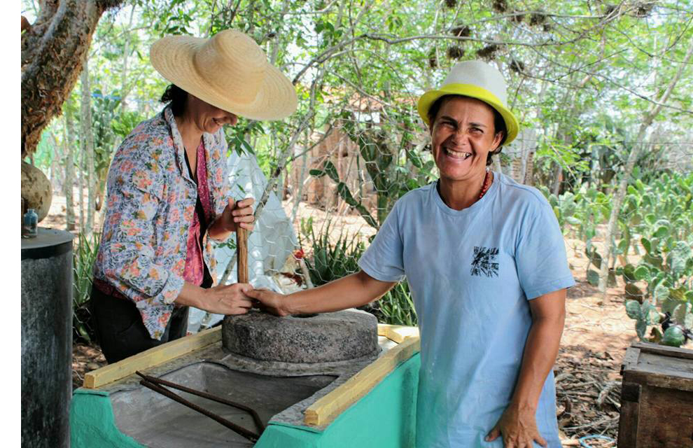 mulheres rurais sorrindo, trabalhando na produção de alimentos