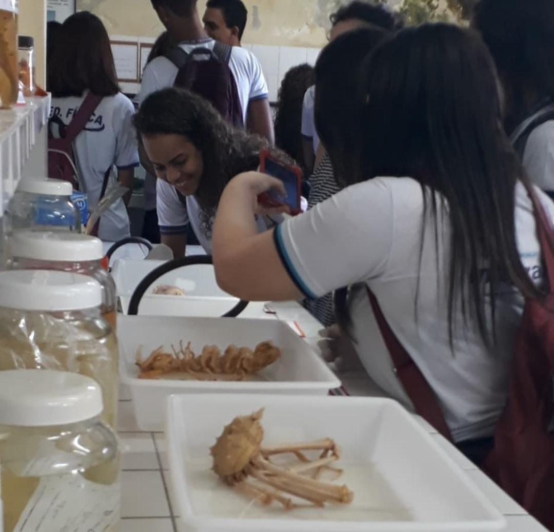 alunos na exposição