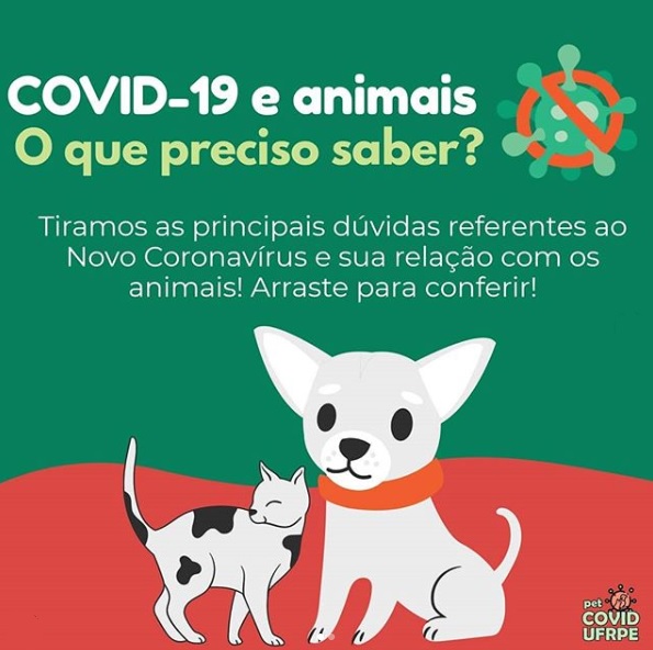 imagem pets do projeto