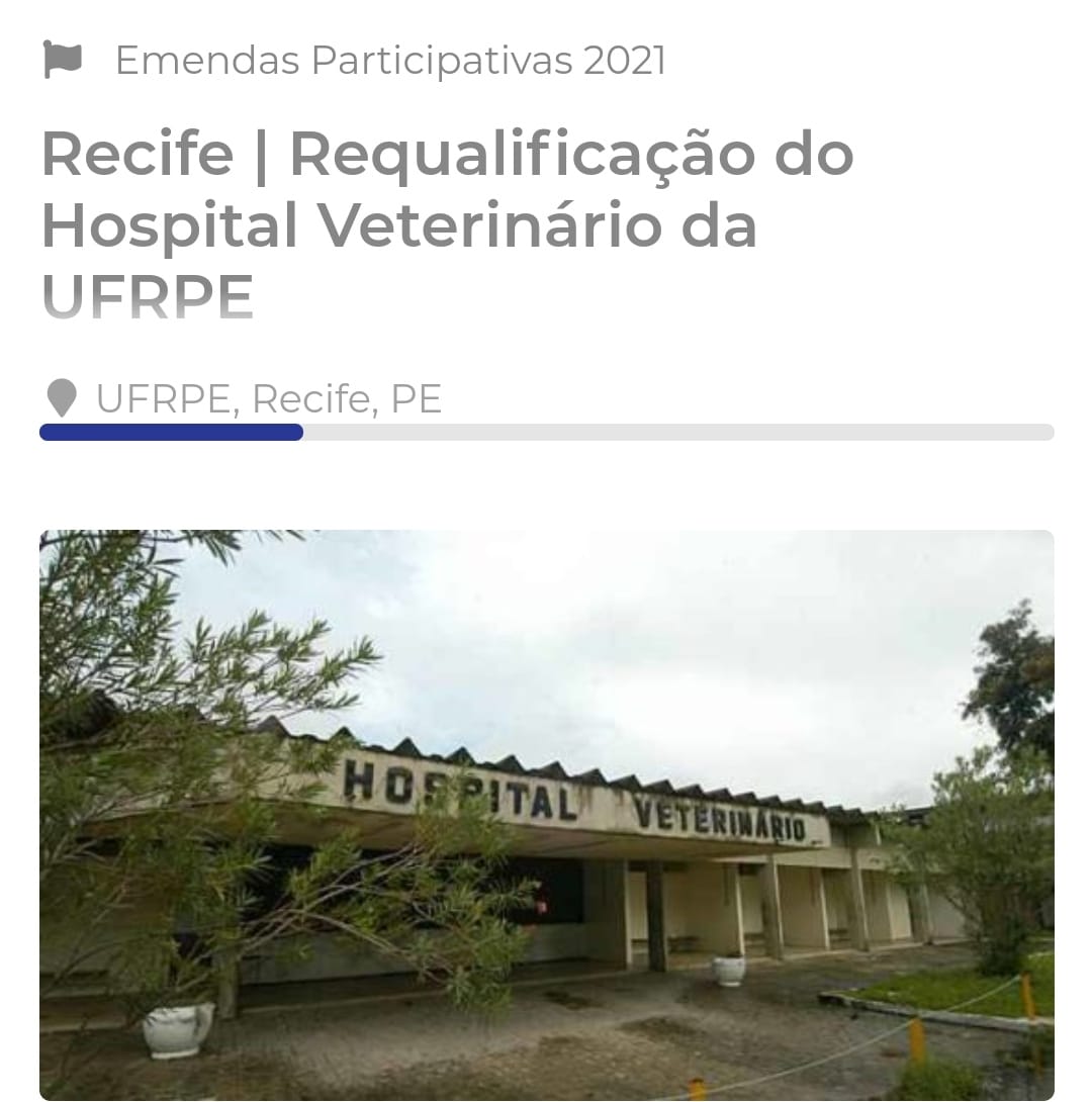 votação hospital veterinário